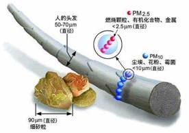 抗PM2.5