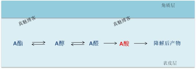 A醇,A醛，A酸以及A酯的关系