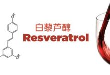 再谈烟酰胺抑制sirtuins蛋白,需要与白藜芦醇一起用吗?–真魅博客
