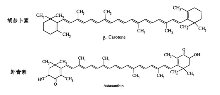 虾青素化学结构