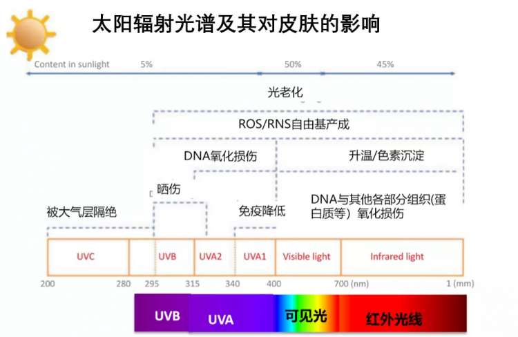 兰嘉丝汀理肤银杏隔离乳SPF50+ PA++++